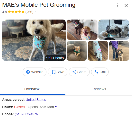 MAE Pet Groomer Google reviews after RepMint