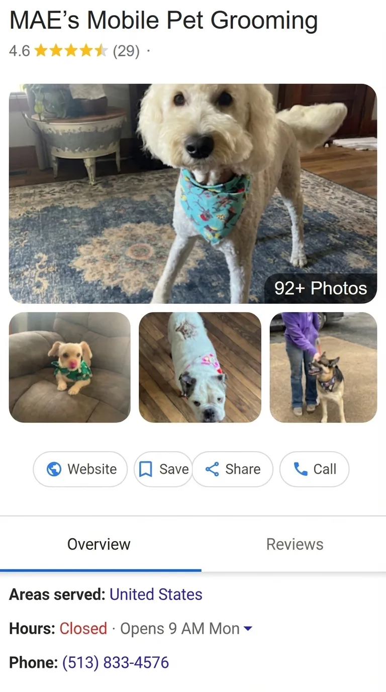 MAE Pet Groomer Google reviews before RepMint